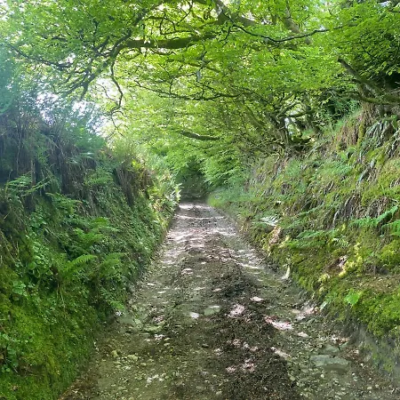 Campsite Unique Escape In Gorgeous Shepherds Huts On Cornish Moor *